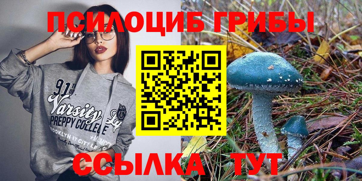 Псилоцибиновые грибы MAGIC MUSHROOMS  Вход с VPN  Железноводск 
